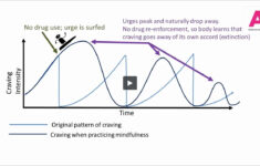 03 Urge Surfing GuardYourEyes Videos