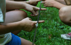 10 Team Building Activities For Adults And Kids Hative