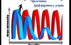 2 7 Urge Surfing DIALECTICAL BEHAVIORAL TRAINING