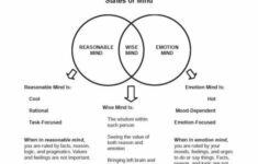 3 States Of Mind Dbt Google Search Wise Mind Dialectical Behavior
