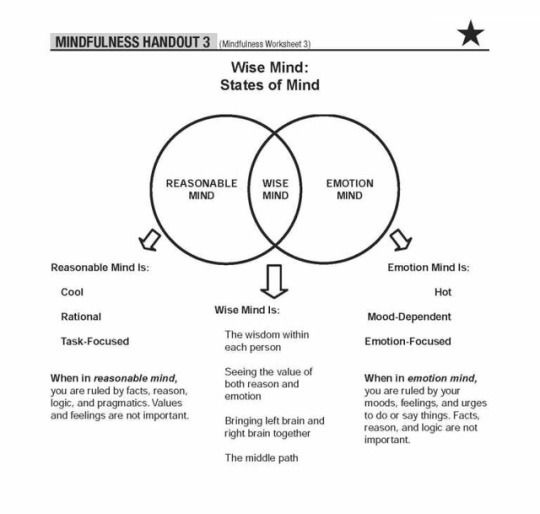 3 States Of Mind Dbt Google Search Wise Mind Dialectical Behavior 