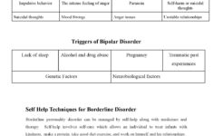 BORDERLINE PERSONALITY DISORDER WORKSHEETS VERSION 2 Mental Health