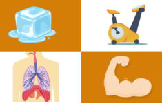 Cam s Kids Tips And Tools TIPP Skills