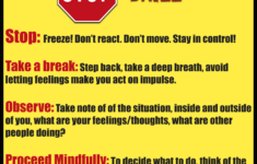 DBT Crisis Survival Skill Stop BPDmemes