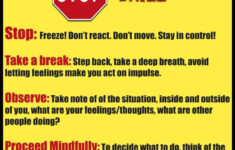 DBT Crisis Survival Skill Stop BPDmemes Dbt Activities