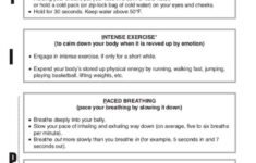 DBT Distress Tolerance TIPP And ACCEPTS Living With Borderline