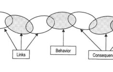 DBT In 3 Months My Journey Through Marsha Linehan s Little Red Book