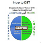 DBT LESSON 0 1 Introduction To Dialectical Behavior Therapy Etsy