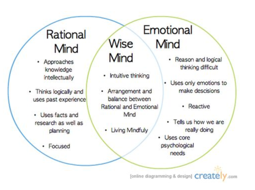 Dbt Skills Dbt Skills Dialectical Behavior Therapy Therapy 