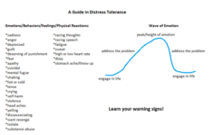 Distress Tolerance Distress Tolerance Substance Abuse Counseling