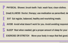 Emotion Regulation PLEASE DBT Skills BPD Dbt Skills Dbt Cleaning