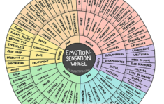 Emotion Sensation Feeling Wheel Printable Feeling Wheel Resources
