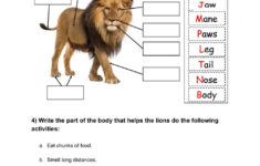 Facts About Lions Worksheet