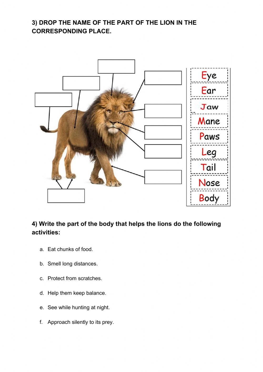 Facts About Lions Worksheet