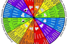 Feelings Chart By Needs Met Feelings Chart Feelings Wheel Emotion Chart
