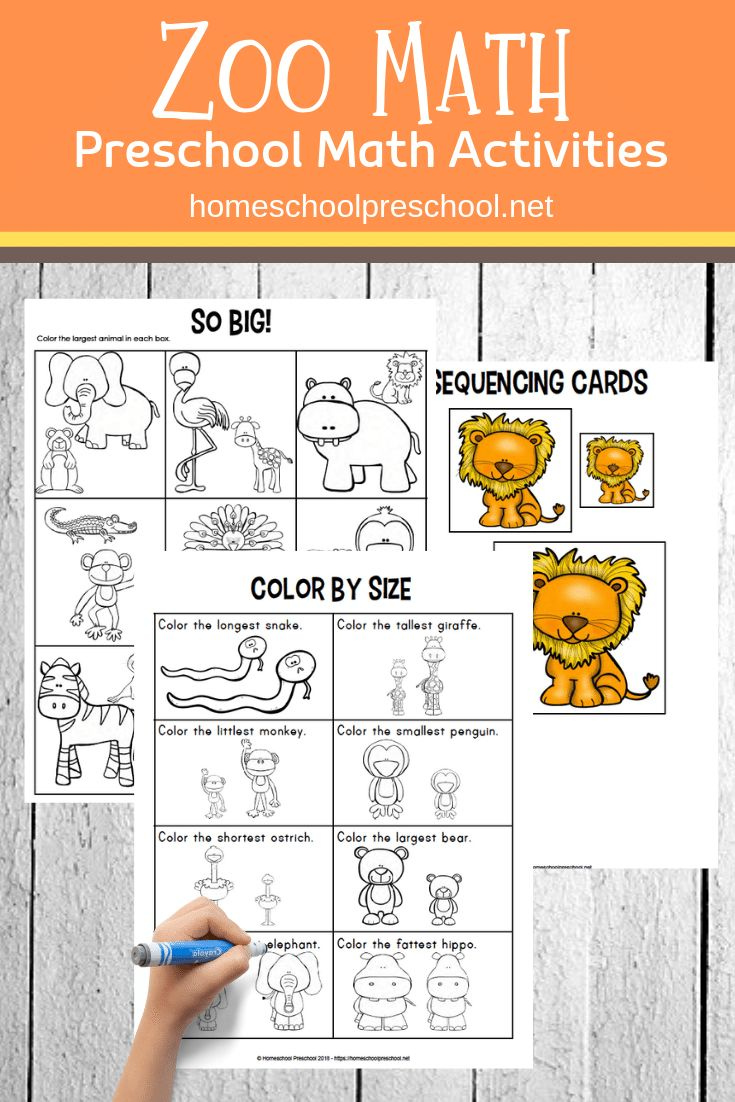 Free Printable Zoo Math Worksheets For Preschoolers Math Activities 