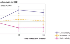 Harvard Researchers Identify Which Diet Increases Calorie Burning At