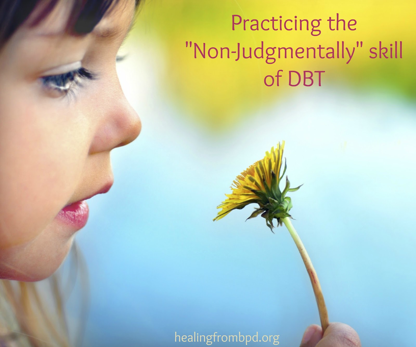 Healing From BPD Borderline Personality Disorder Blog DBT 