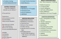 Healing Schemas DBT Self Help Resources Distress Tolerance