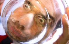 How To Immediately Calm Down In 30 Seconds Diving Reflex Dbt Tipp