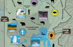 Kids Youth Yellowstone National Park U S National Park Service