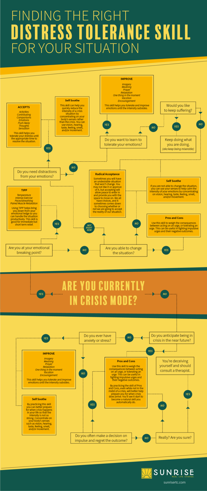 DBT Crisis Survival Skills Worksheet