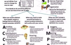 Skills Cheat Sheet DT DBT SKILLS APPLICATION SELF HELP Dbt Skills