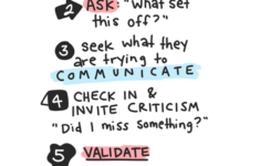 Steps To Containing A Mental Health Crisis Printable RO DBT Model