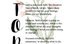 STOP Skill DBT Dialectical Behavior Therapy Dbt Skills Dbt Therapy