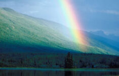 Studying Rainbows Crafts Activities And Science Experiments