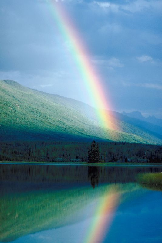 Studying Rainbows Crafts Activities And Science Experiments