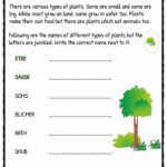 Types Of Plant Worksheet KidsKonnect